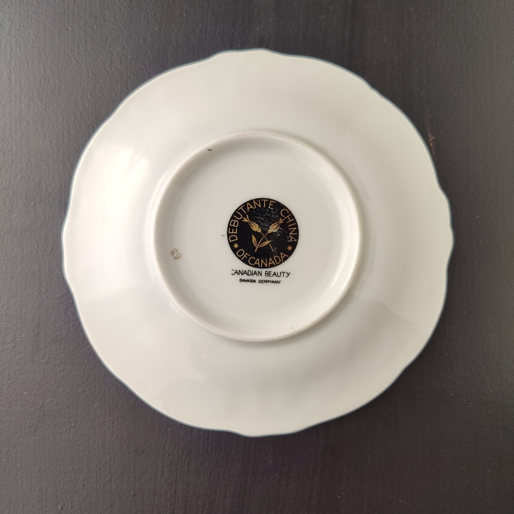 Vintage | Debutante China of Canada | Teacup and Saucer with Gold Trim ๐น๐ฉท - Picture 12 of 15